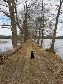 Chalupa Tebosk rybnky - Lunice - Tebo