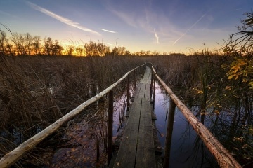 Chalupa Tebosk rybnky - Lunice - Tebo