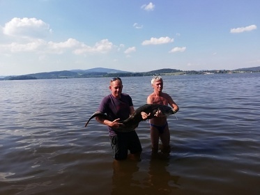 Chata na břehu Lipna - Černá v Pošumaví