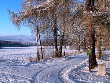 Chalupa a sauna - Ho�ice na �umav� - jezero Lipno