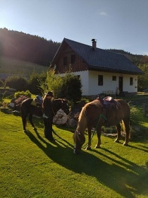 Chalupa bazn a sauna - Zlat Hory - Rejvz