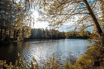 Lesn Apartmny - Hotel Kouty - Lede n. Sz.