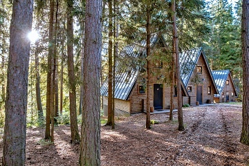Lesní Apartmány - Hotel Kouty - Ledeč n. Sáz.