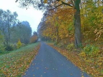 Chata pod lesem - Malá Štáhle u Malé Morávky