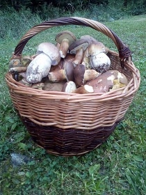 Kanadský srub Komora s wellness - Holčovice