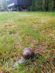 Glamping Medov� Maringotka - CHKO Pood��