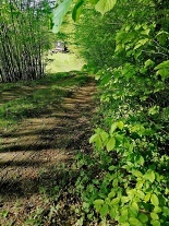 Glamping - Medov Maringotka u Marlenky