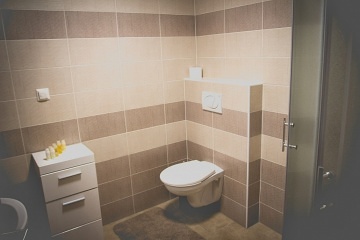 Mikulovsk apartmny - Mikulov - Plava