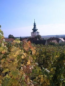 Chata a vinn sklep - Lednicko-valtick arel