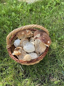 Chalupa Pod Maxovským hřbetem - Hor. Maxov