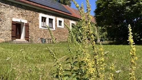 Jiho�esk� chalupa - T�ebo�sko - �eka Ne��rka