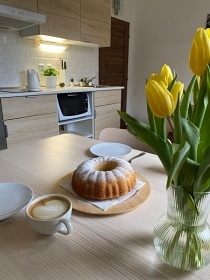Apartmán Poděbrady - Poděbradské jezero