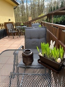 Apartmán Poděbrady - Poděbradské jezero