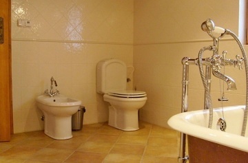 Chalupa s baznem - Orlick hory - Pastviny