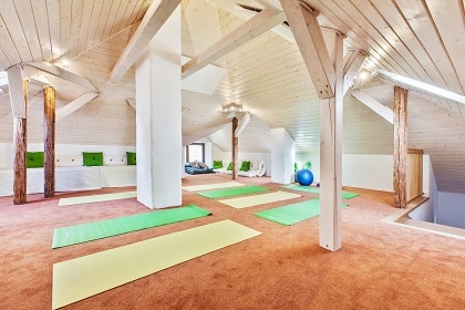 Wellness chata - Nízké Tatry - Mýto pod Ďumbierom