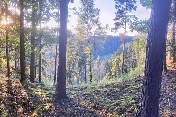 Spíme v lese - Woodka - Glamping Heřmaň