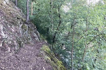 Spíme v lese - Woodka - Glamping Heřmaň
