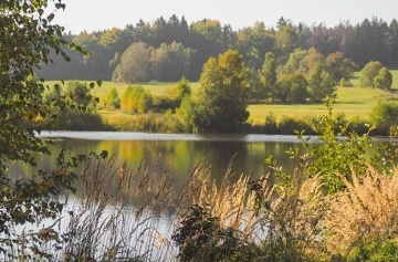 Dům nad vodou - Nová Ves - Batelov - Vysočina