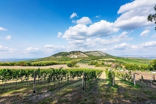 Apartmán Pálava - Zaječí - chalupa jižní Morava