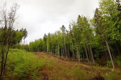 Rodinn� chalupa - Je�t�dsk� h�bet - And�lsk� Hora