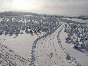 Chata Pijte pobejt - Bl - Orlick hory