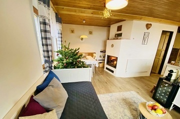 Rodinn� chata se saunou - Kru�n� hory - Bo�� Dar