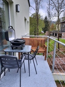 Apartmán Vlčí nora - Horní Maršov - Krkonoše