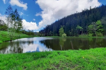 Apartmán Vlčí nora - Horní Maršov - Krkonoše