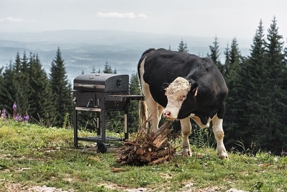 Chalupa Černá hora - Krkonoše - Janské Lázně
