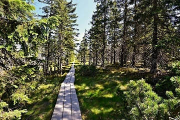 Wellness chalupa �ern� hora - Krkono�sk� magistr�la