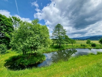 Chalupa s v��ivkou a rybn�kem - Rozhledna Bukovka