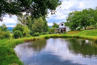 Nov� objekt: Chalupa s v��ivkou a rybn�kem - Rozhledna Bukovka 2M-226