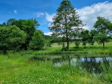 Chalupa s v��ivkou a rybn�kem - Rozhledna Bukovka