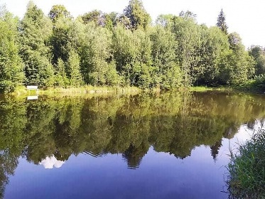 Wellness chatička Těšíkov - bazén a sauna