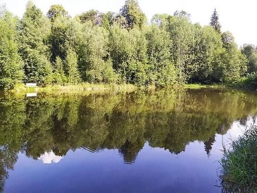 Wellness chatika Tkov - bazn a sauna