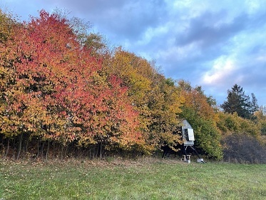 Posed Palouček - glamping u přehrady Vír