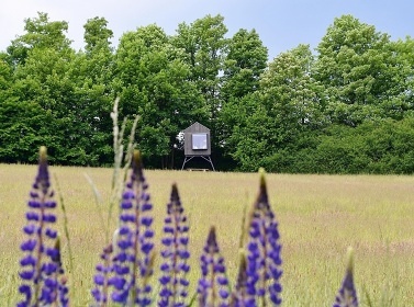 Glamping na Vyso�in� - posed u p�ehrady V�r