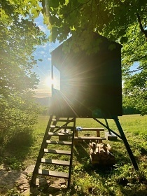 Posed Palouček - glamping u přehrady Vír