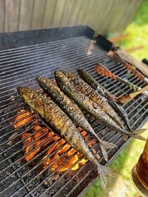 Kemp u cyklostezky Bečva - Radhošť - Radegast