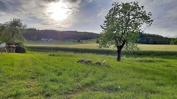 Jihočeská Chalupa - Blanský les - Nová Ves
