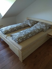 Apartmán Šumava - obora s jeleny a rysy Kvilda