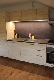 Apartmán Šumava - obora s jeleny a rysy Kvilda