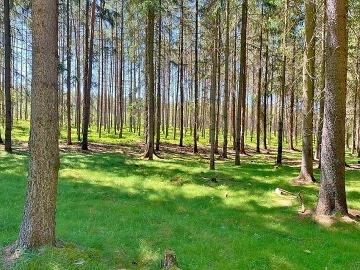 Roubenka u jezera - Lu�ick� hory - Je�t�d