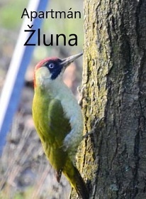 Usedlost Ledňáček - Modletice - klid u řeky