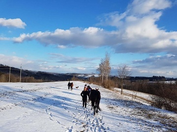 Chata s bazénem - Baldův svět - Janské Lázně