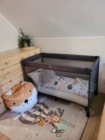 Chata s bazénem - Baldův svět - Janské Lázně