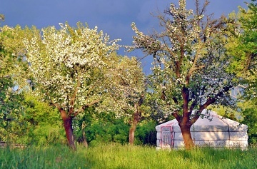 Jurty v Sadu - Glamping Štolmíř - Český Brod