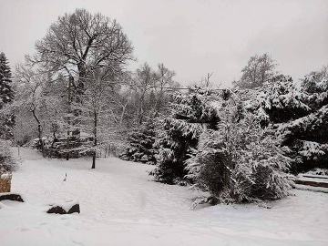 Chaty Kašperské Hory - Otava - Hartmanice