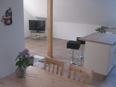 Chata Hlinice s bazénem - apartmán jižní Čechy