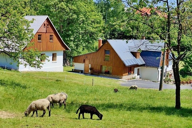 Apartmán Krkonoše - Tomášovy vrchy - Zlatá Olešnice